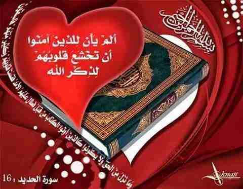 خط فودافون متسلسل ومميز للتنازل فاي فرع للشركه                                            


	 				لا تنسَ أنك شاهدت هذا الإعلان في عنكبوت            
	 				01026788889

	 				رقم المعلن :010267...