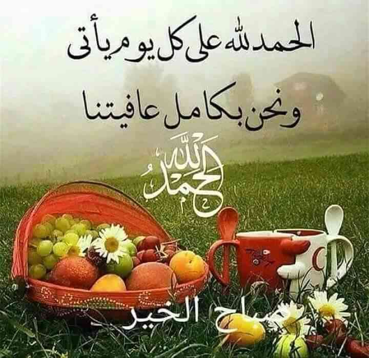 اقساط دفعه 40 و الباقي عشرات بسعر الكاش                                            


	 				لا تنسَ أنك شاهدت هذا الإعلان في عنكبوت            
	 				
                                زيت زيتون ممت...