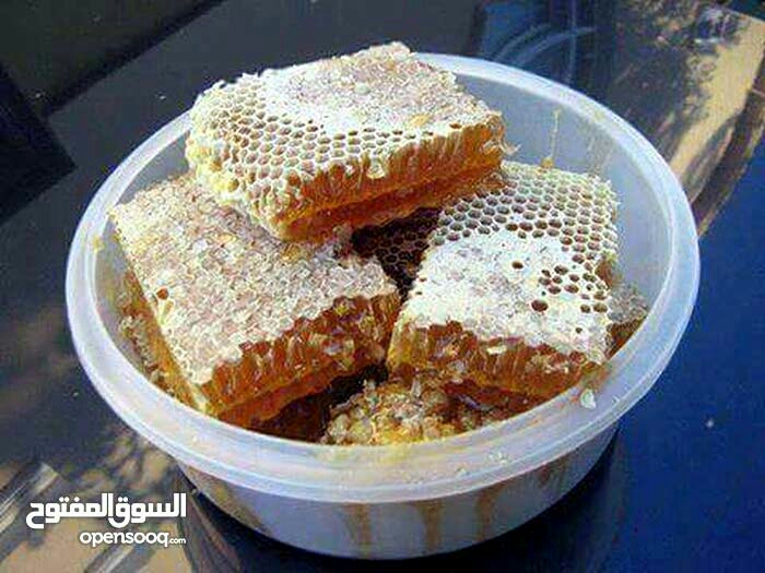 مناحل الشمال
لا تنسَ أنك شاهدت هذا الإعلان في عنكبوت
كبير نحالي الشمال
مناحل سوار العسل...