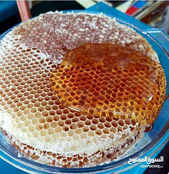 مناحل الشمال
لا تنسَ أنك شاهدت هذا الإعلان في عنكبوت
كبير نحالي الشمال
مناحل سوار العسل...