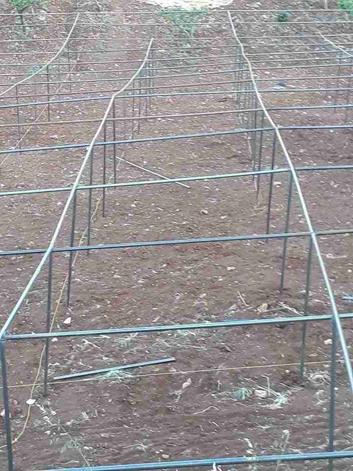 معرشات عنب
لا تنسَ أنك شاهدت هذا الإعلان في عنكبوت
معرشات عنب بافضل الطرق واسعارنا منافسة
ل...