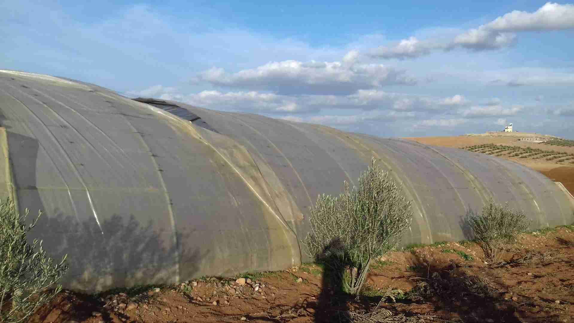 بيت بلاستيك للبيع بسعر مميز وبحالة الوكالة
لا تنسَ أنك شاهدت هذا الإعلان في عنكبوت
بيت بلاستي...