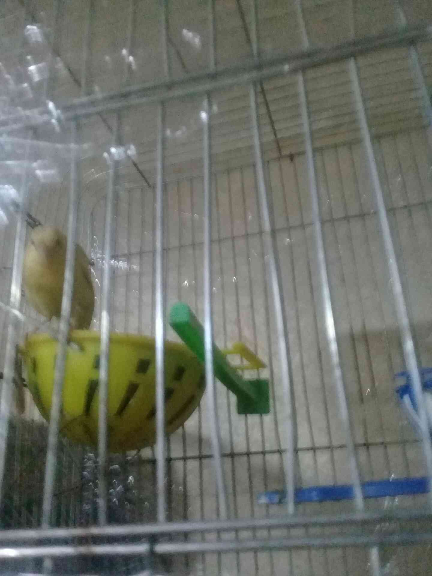 جبل الزهور
لا تنسَ أنك شاهدت هذا الإعلان في عنكبوت
بصلى على نبي الله يطرح بركه صاحب نصيب البي...