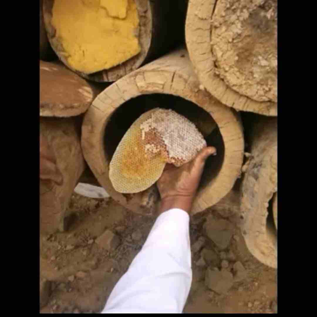 الجبلي للعسل الطبيعي 100 %
لا تنسَ أنك شاهدت هذا الإعلان في عنكبوت
السلام عليكم ورحمة الله وبركات...