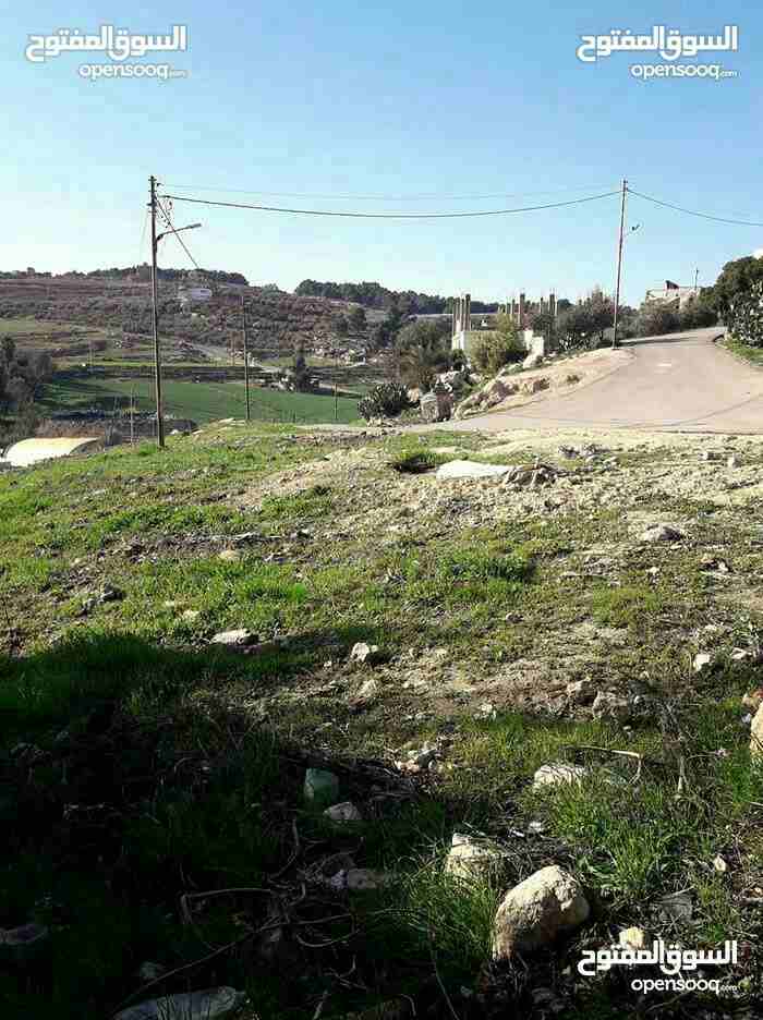 ارض للبيع ناعور وسيل حسبان قرب النبع
لا تنسَ أنك شاهدت هذا الإعلان في عنكبوت
ارض للبيع
اراضي نا...