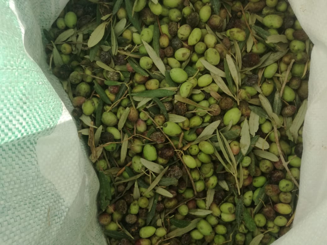 من جرش ثغرة عصفور                                            


	 				لا تنسَ أنك شاهدت هذا الإعلان في عنكبوت            
	 				
                                جرش ثغرت عصفور مكفل 100/100...