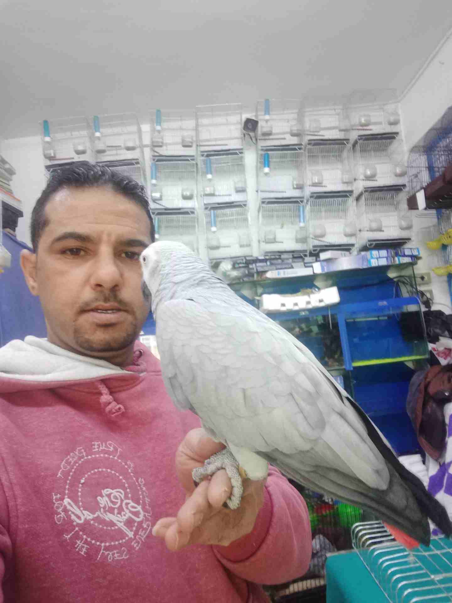 الى عشاق التميز والنوادر #كاسكو_مزرعه  ثوب مش ثلجي ثوب #ابيض_سك  متكلم م                                            


	 				لا تنسَ أنك شاهدت هذا الإعلان في عنكبوت...