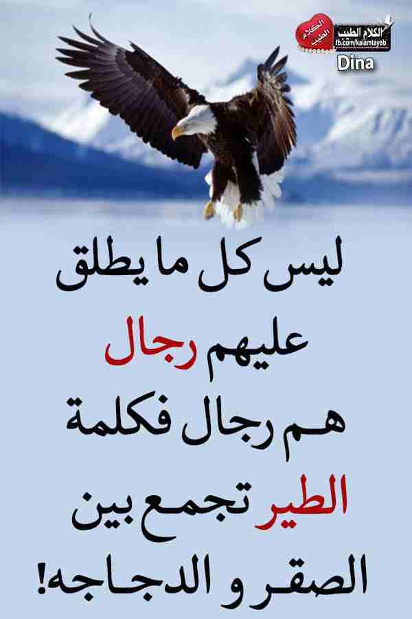 مطلوب غرفه للايجار بسعر مناسب                                            


	 				لا تنسَ أنك شاهدت هذا الإعلان في عنكبوت            
	 				
                            مطلوب غرفه مع منافعها للايج...