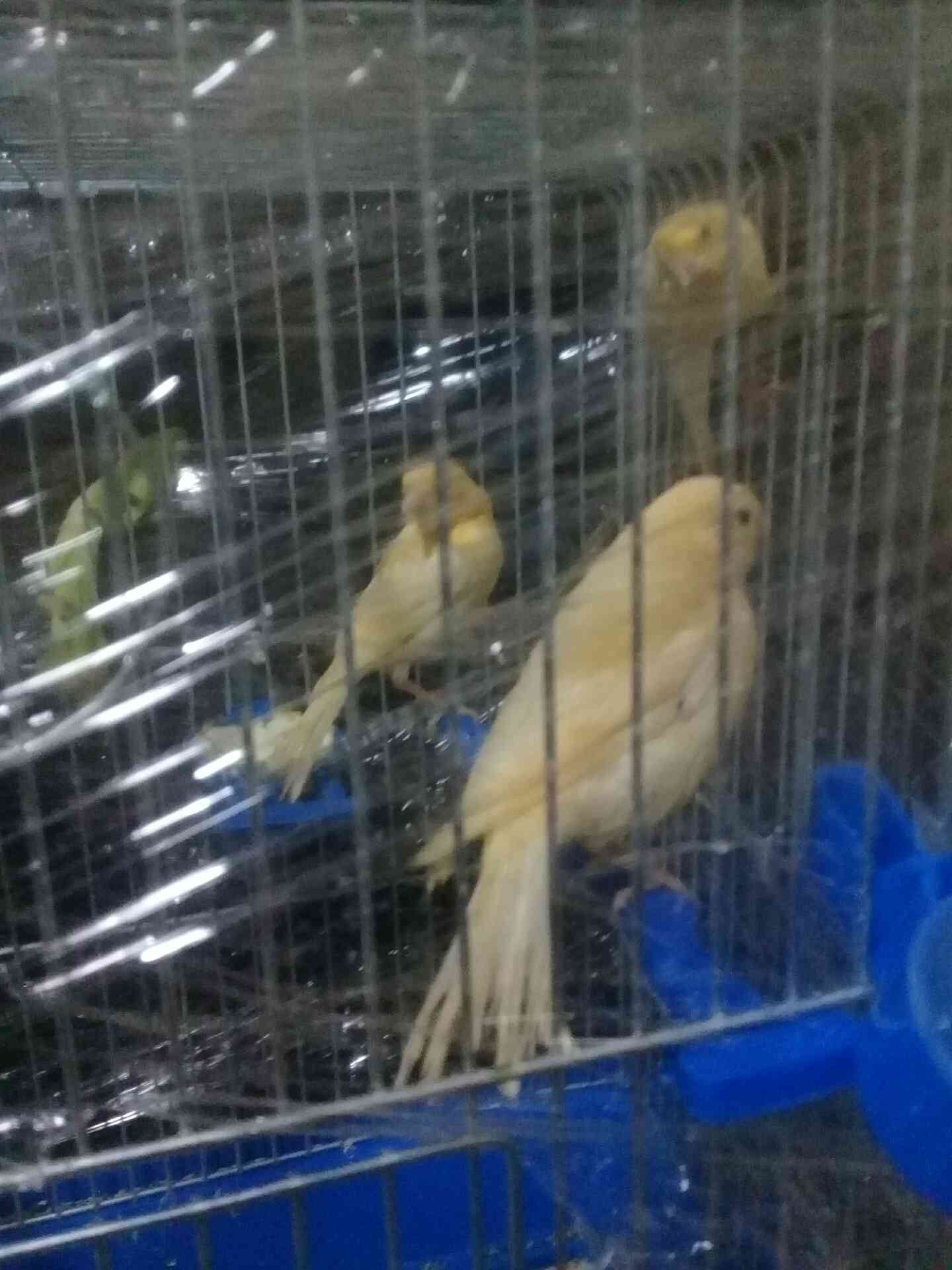 جبل الزهور
لا تنسَ أنك شاهدت هذا الإعلان في عنكبوت
بصلى على النبي 3 مخليف جزريات البيع سعر ال...