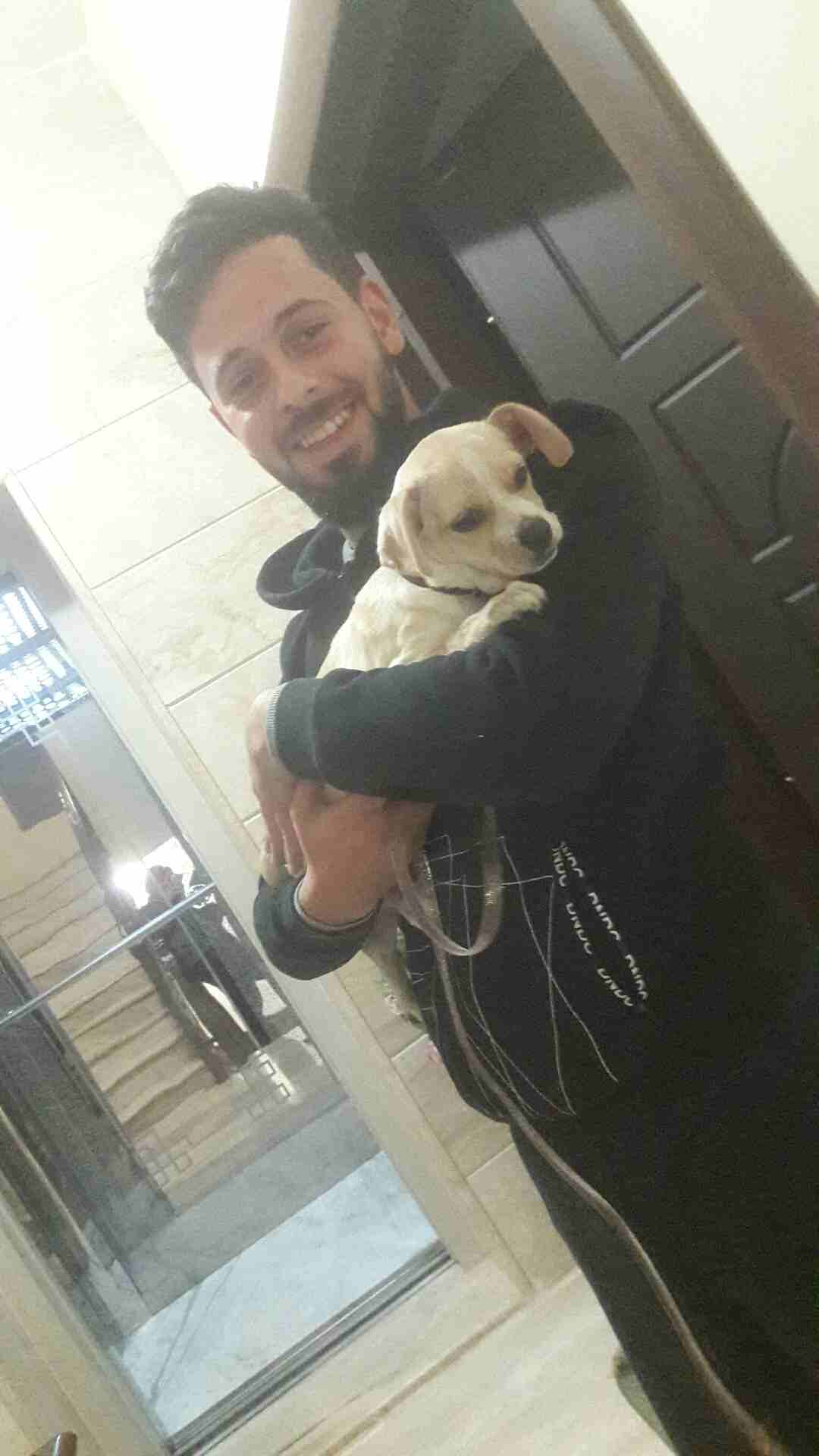 كلب شيواوا لبيع  عمر 3 اشهر                                            


	 				لا تنسَ أنك شاهدت هذا الإعلان في عنكبوت            
	 				
                            عمر 3 اشهر الكلب ماخد كل المط...