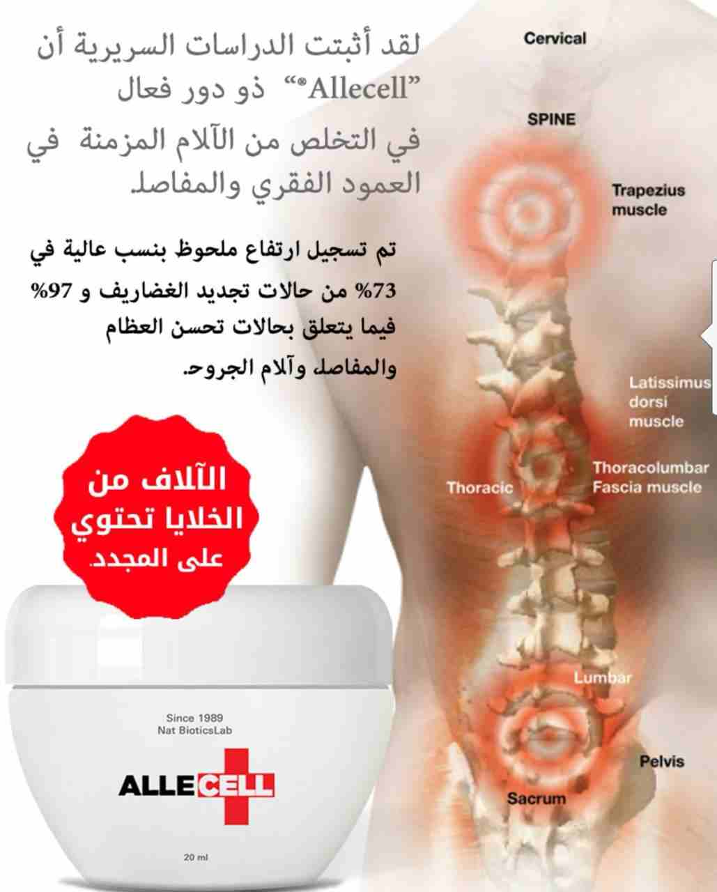 كريم الروماتيزم                                            


	 				لا تنسَ أنك شاهدت هذا الإعلان في عنكبوت            
	 				
                            كريم الروماتيزم الفعال...
