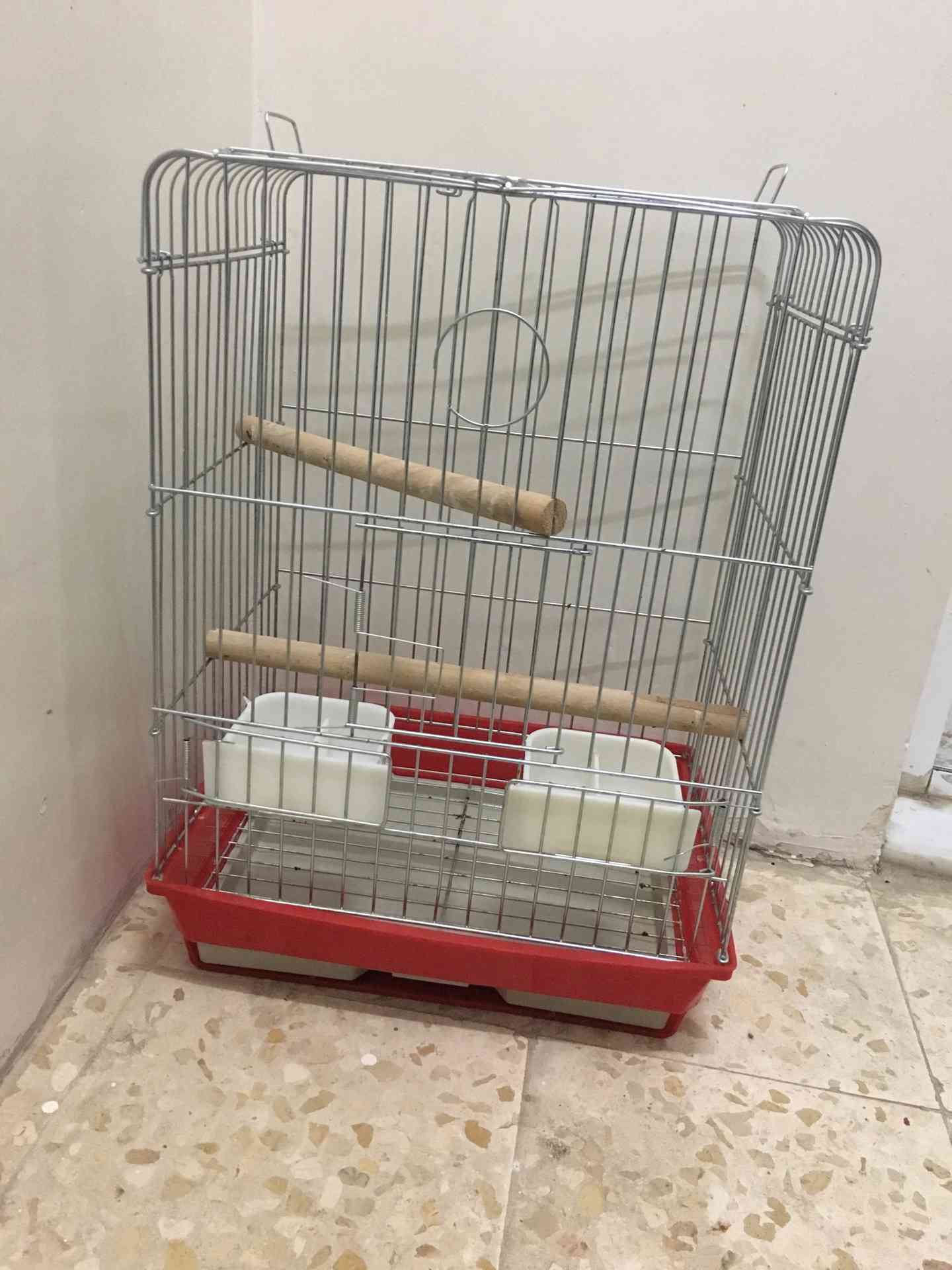 قفص كاسكو للبيع جديد                                            


	 				لا تنسَ أنك شاهدت هذا الإعلان في عنكبوت            
	 				
                                القفص شتريتو وبعت الببغاء للبيع...