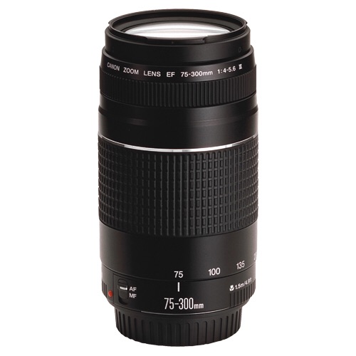 75-300mm canon                                            


	 				لا تنسَ أنك شاهدت هذا الإعلان في عنكبوت            
	 				
                                75-300mm canon
mm f/4-5.6...