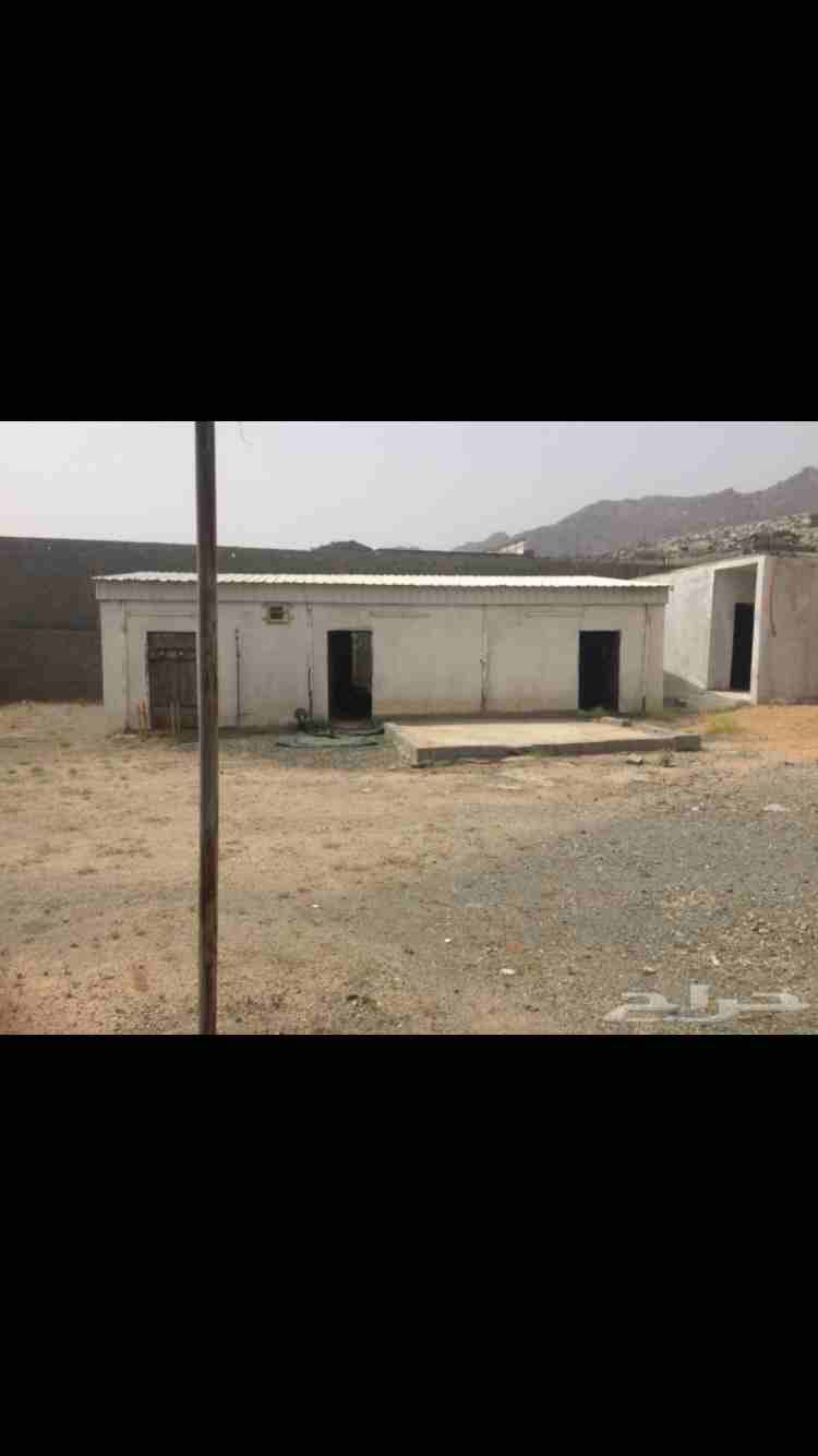 استراحه للبيع
لا تنسَ أنك شاهدت هذا الإعلان في عنكبوت
استراحه للبيع في الشرائع الكشبه بجوار الخط...