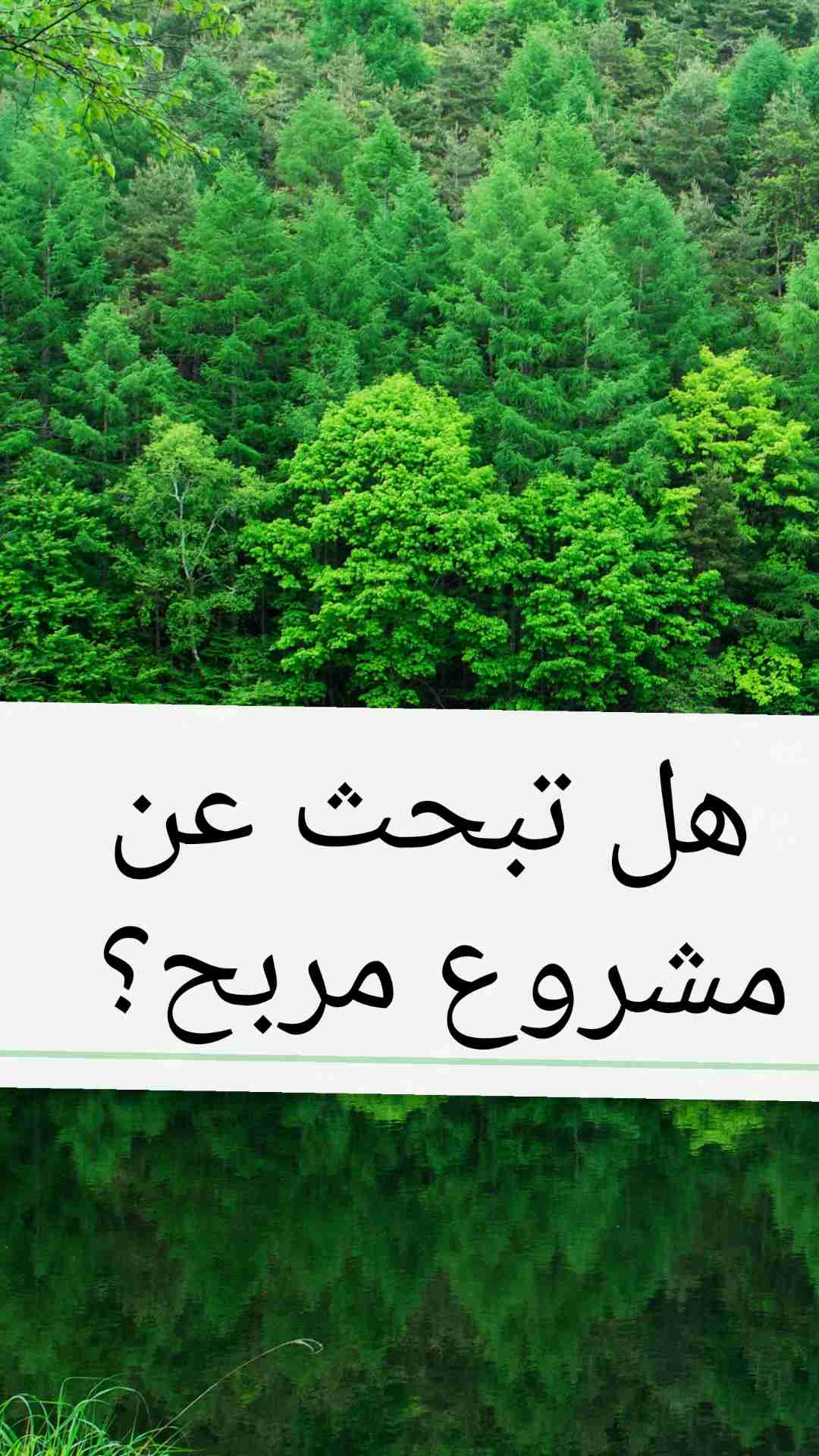مشروع إلكتروني مربح                                            


	 				لا تنسَ أنك شاهدت هذا الإعلان في عنكبوت            
	 				
                                *((( فرصة استثمارية )))*
مشروع إ...