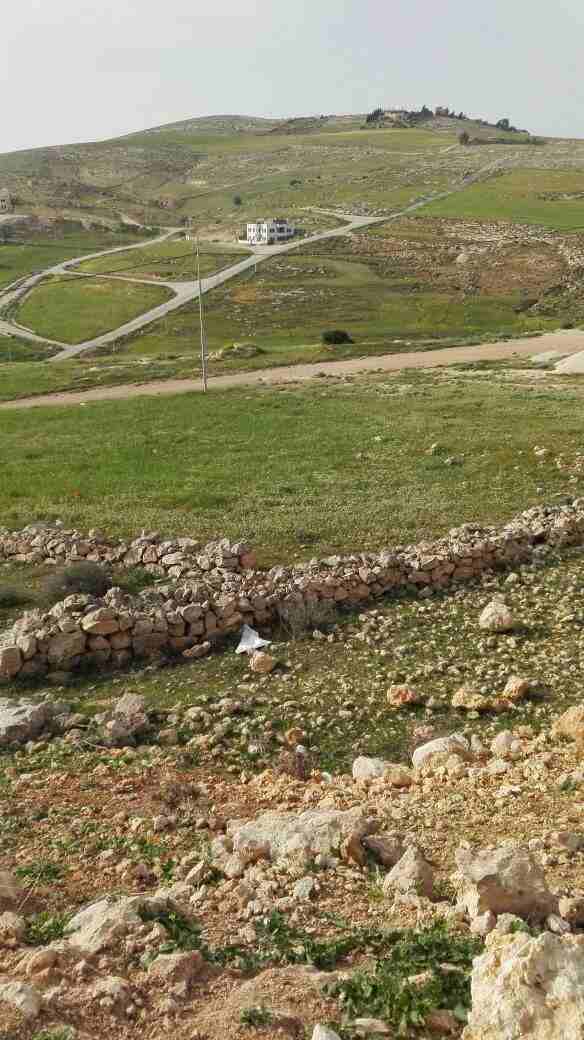 شروة العمر.. ارض شفابدران المقرن2
لا تنسَ أنك شاهدت هذا الإعلان في عنكبوت
بسم الله الرحمن الرحيم...