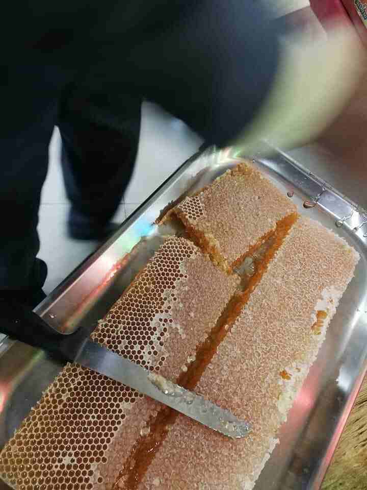 مناحل سوار العسل لمنتجات النحل                                            


	 				لا تنسَ أنك شاهدت هذا الإعلان في عنكبوت            
	 				
                            لدينا جميع منتجات النحل ال...