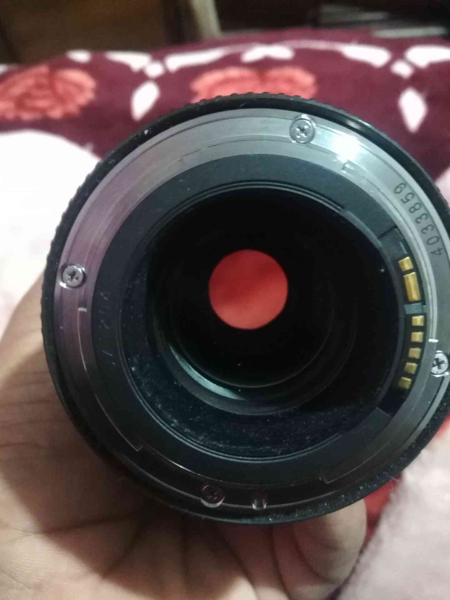 canon 100 mm f2.8
لا تنسَ أنك شاهدت هذا الإعلان في عنكبوت
canon 100 mm macro red line
canon
f...