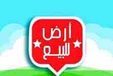 قطعة أرض للبيع ضاحية الرشيد قرب فلل ابو شيخة                                            


	 				لا تنسَ أنك شاهدت هذا الإعلان في عنكبوت            
	 				
                            قطعة أرض للب...