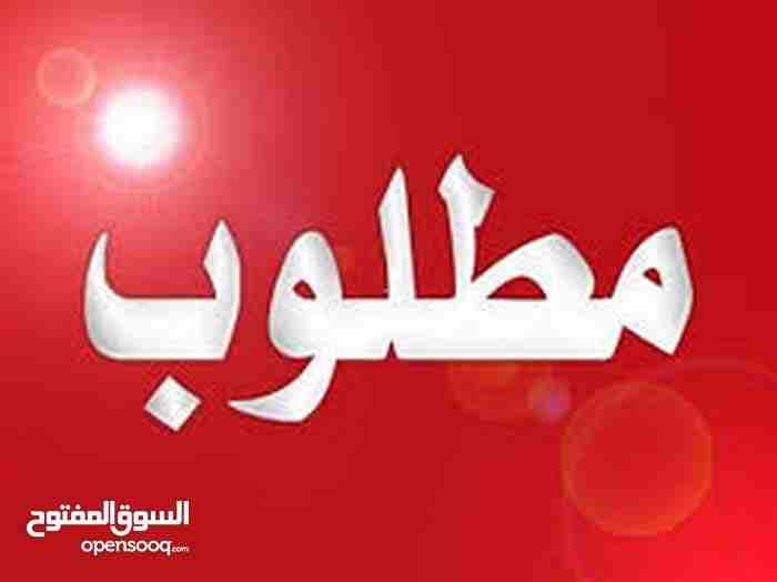 مطلوب مهرا عرق عربي                                            


	 				لا تنسَ أنك شاهدت هذا الإعلان في عنكبوت            
	 				
                            عمان...