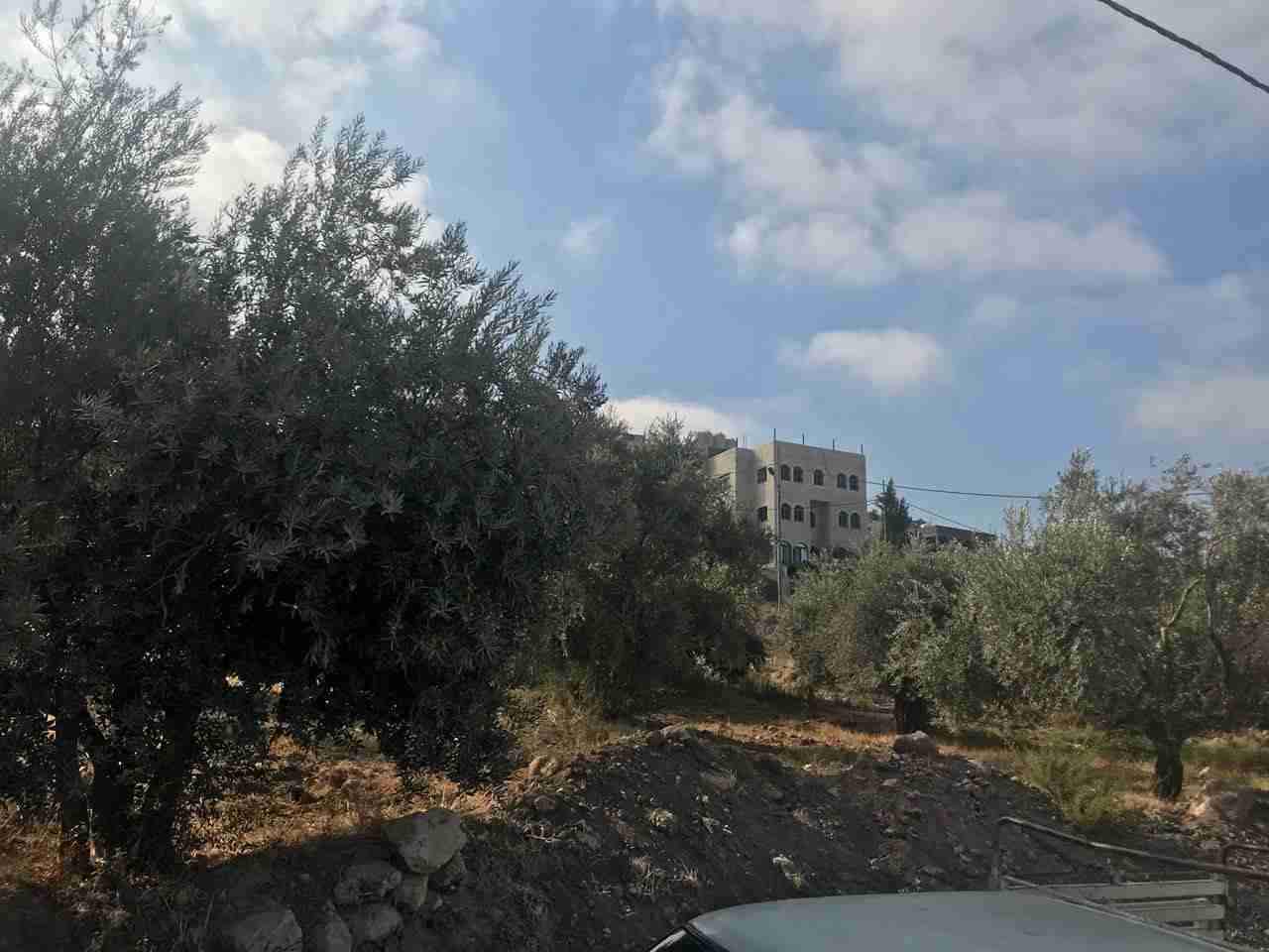 قطعة ارض مميزة في عين الباشا
لا تنسَ أنك شاهدت هذا الإعلان في عنكبوت
الارض في عين الباشا بالق...