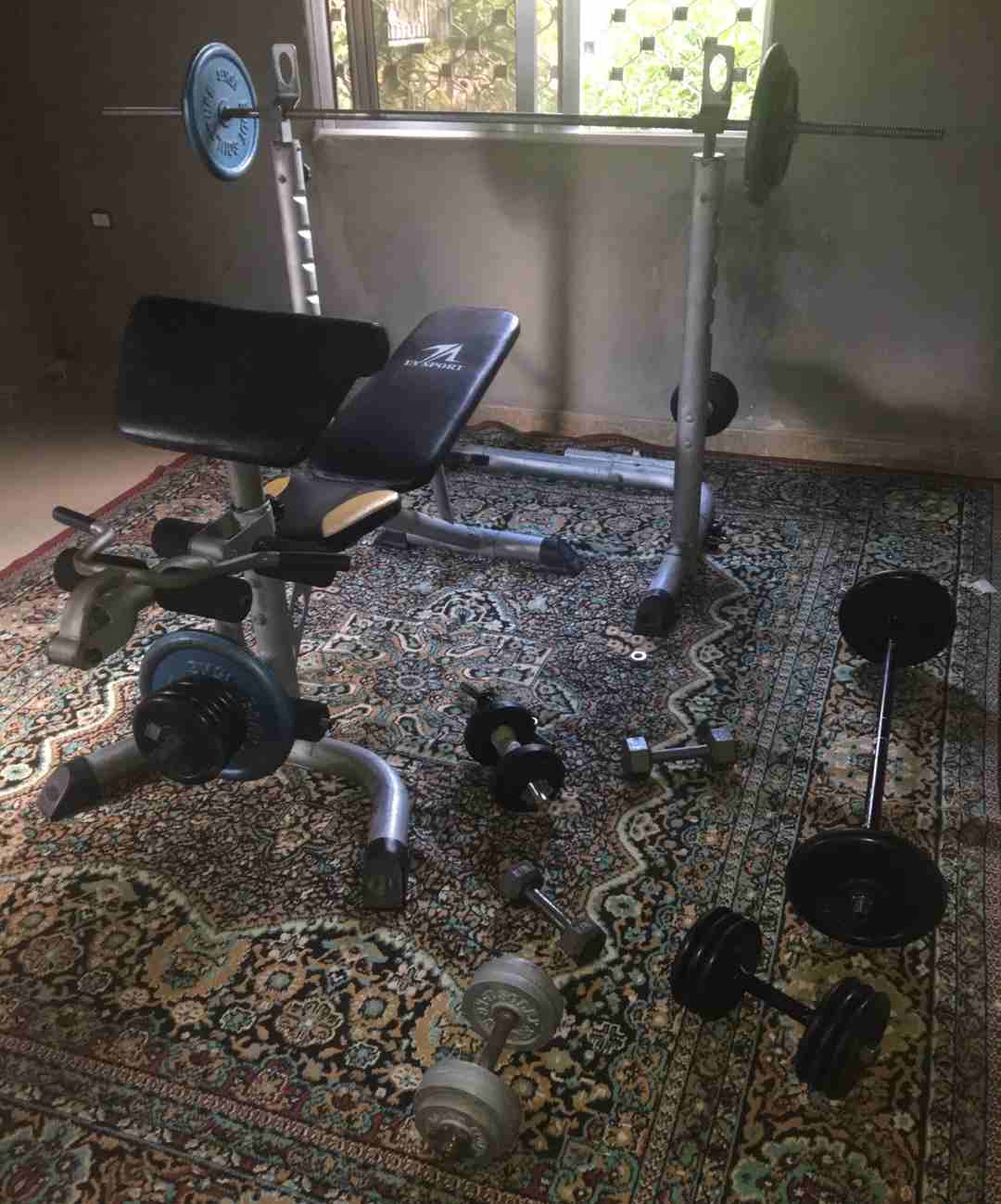 بناء اجسام                                            


	 				لا تنسَ أنك شاهدت هذا الإعلان في عنكبوت            
	 				
                            مجموعة متكاملة لبناء الأجسام في المنزل 
بنج مت...