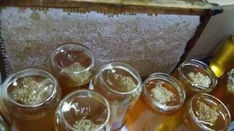 جميع منتجات النحل متوفره… كبير نحالين الشمال
لا تنسَ أنك شاهدت هذا الإعلان في عنكبوت...
