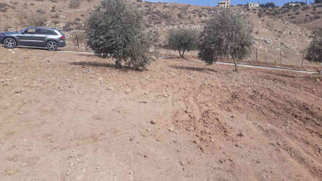 قطعتين ارض للبيع في جرش المصطبه مساحة 3400                                            


	 				لا تنسَ أنك شاهدت هذا الإعلان في عنكبوت            
	 				
                                قطعتين ارض...