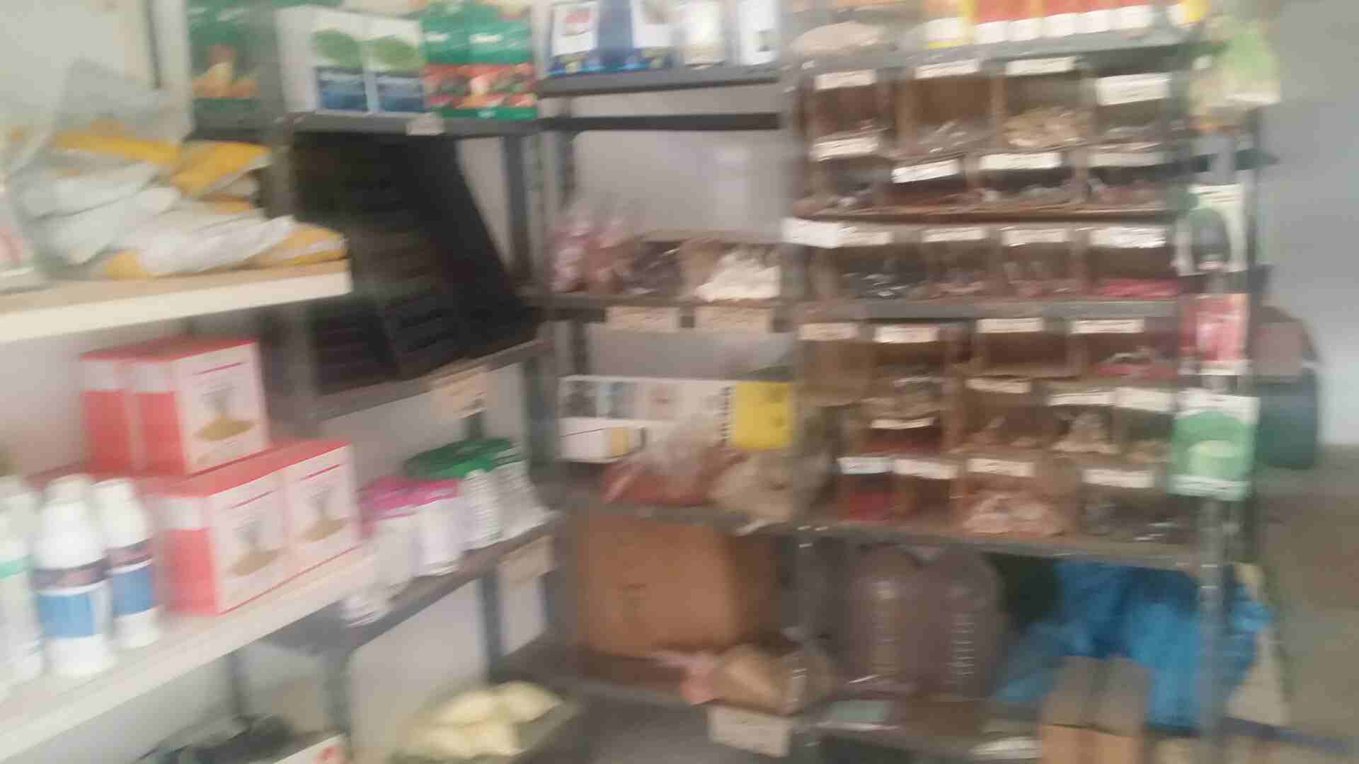محل زراعه للبيع بسعر مغري جدا جدا جدا
لا تنسَ أنك شاهدت هذا الإعلان في عنكبوت
محل مجهز بالكامل مر...