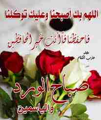 شراء سيارات شطب
لا تنسَ أنك شاهدت هذا الإعلان في عنكبوت
ابوعبدالله المحسيري لشتري جميع انواع السي...