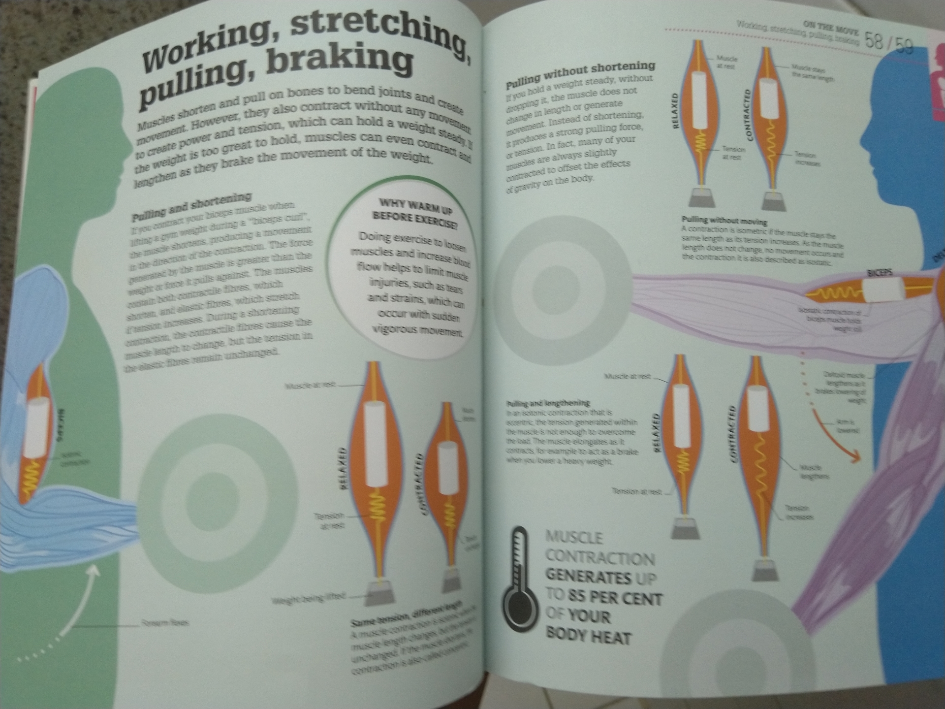 How The Body Works : The facts visually explained
لا تنسَ أنك شاهدت هذا الإعلان في عنكبوت
كتا...
