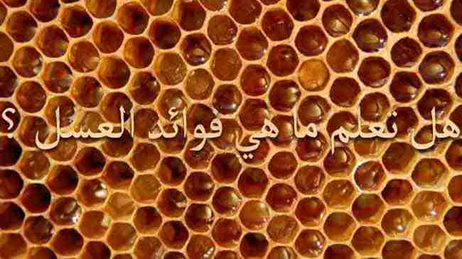 عسل اوربا                                            


	 				لا تنسَ أنك شاهدت هذا الإعلان في عنكبوت            
	 				
                                &rlm;&lrm;#عسل_اوربا
خاص للرجال 
خلطة عسل_ا...