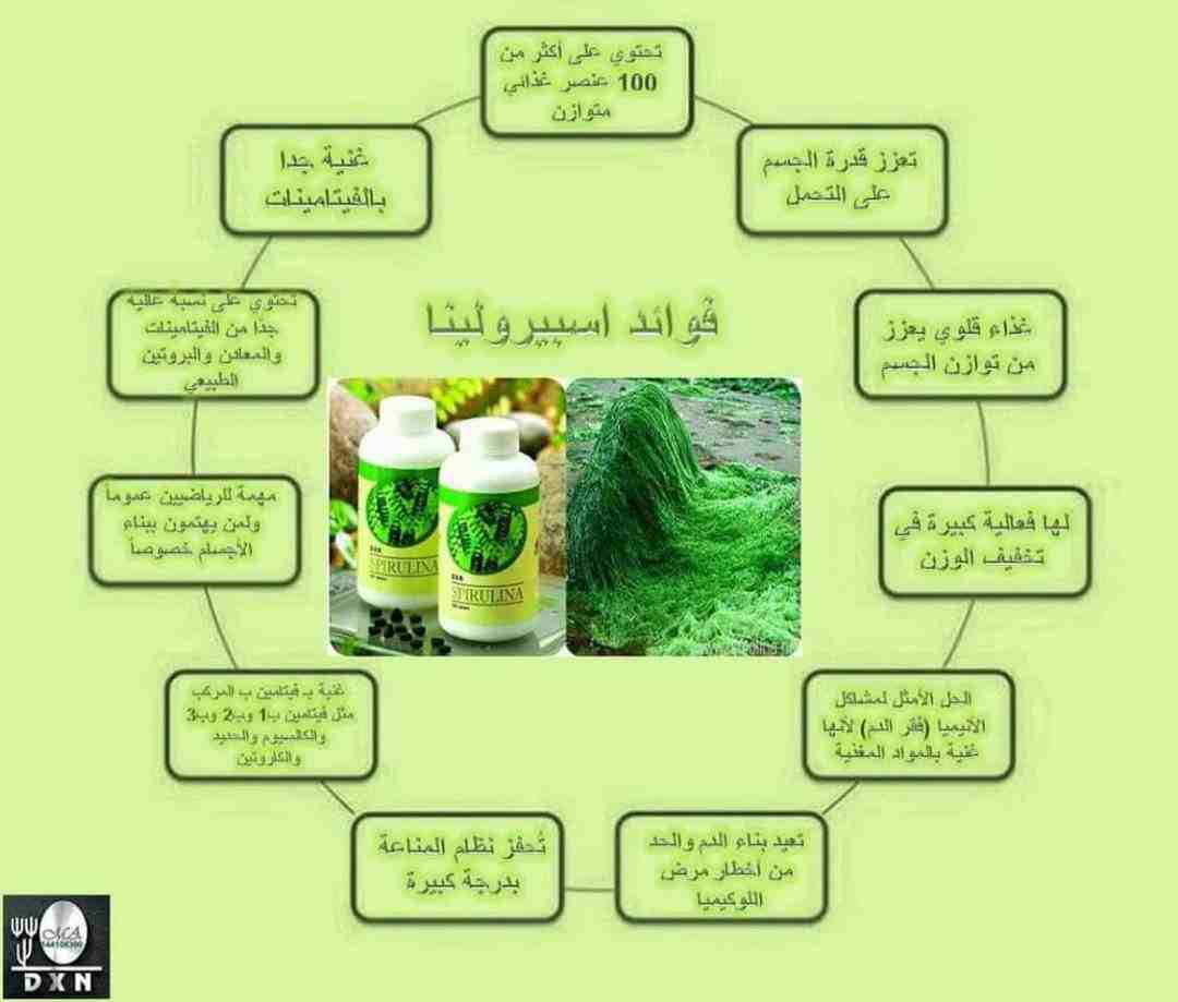 كافة منتجات dxn                                            


	 				لا تنسَ أنك شاهدت هذا الإعلان في عنكبوت            
	 				
                            منتجات لشركة dnx العالمية جميع المنتجات ط...