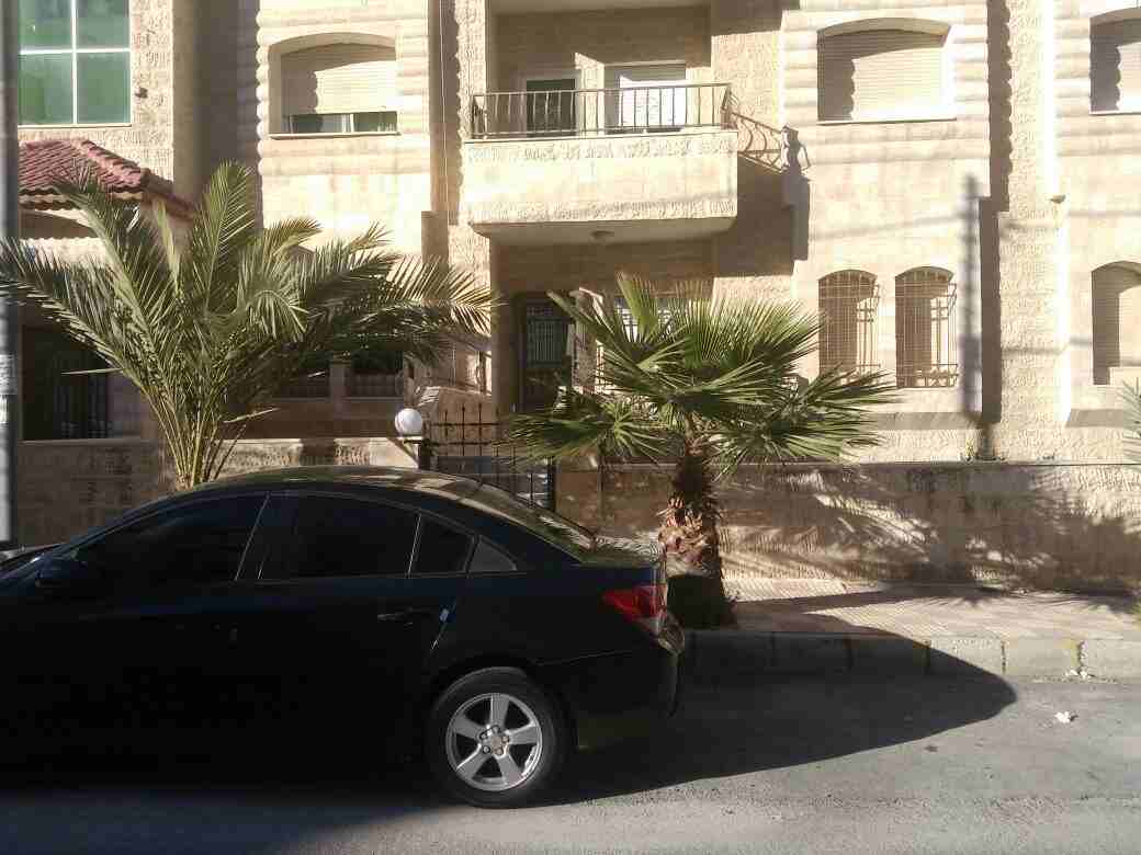 شقه للبيع - ضاحية الرشيد سعر مغري جدا معفية من رسوم التسجيل                                            


	 				لا تنسَ أنك شاهدت هذا الإعلان في عنكبوت...