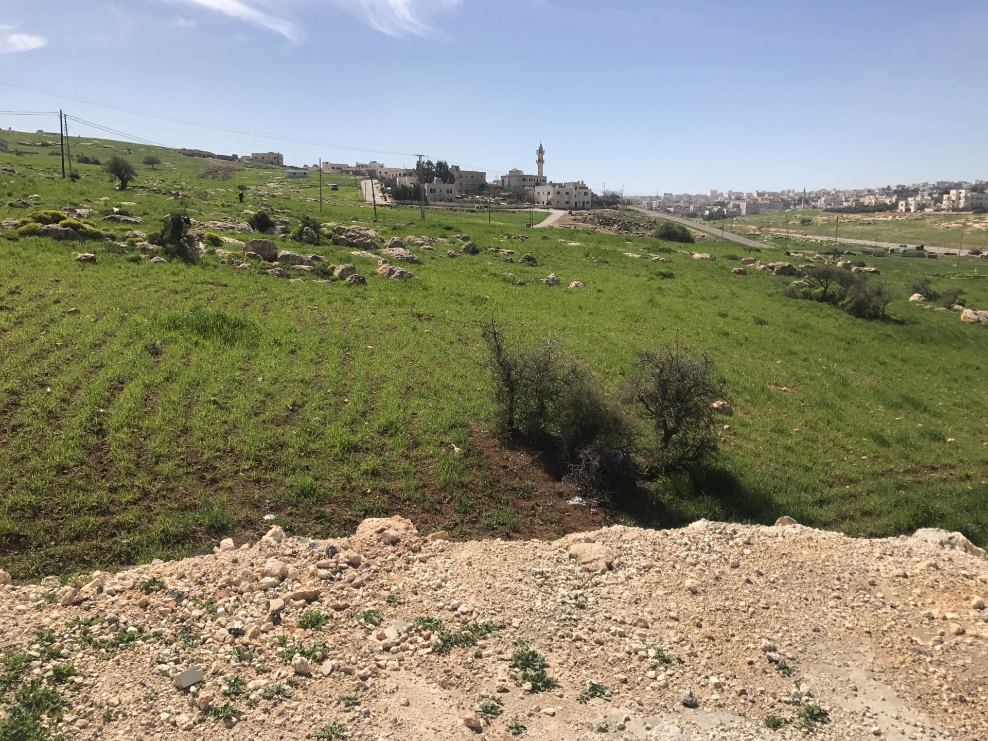 شفا بدران المقرن مرج الفرس عيون الذيب زينات الربوع المكمان شكارة ابونصير المربط الوسية مروج المحمر                                            


	 				لا تنسَ أنك شاهدت هذا الإعلان في عنكبوت...