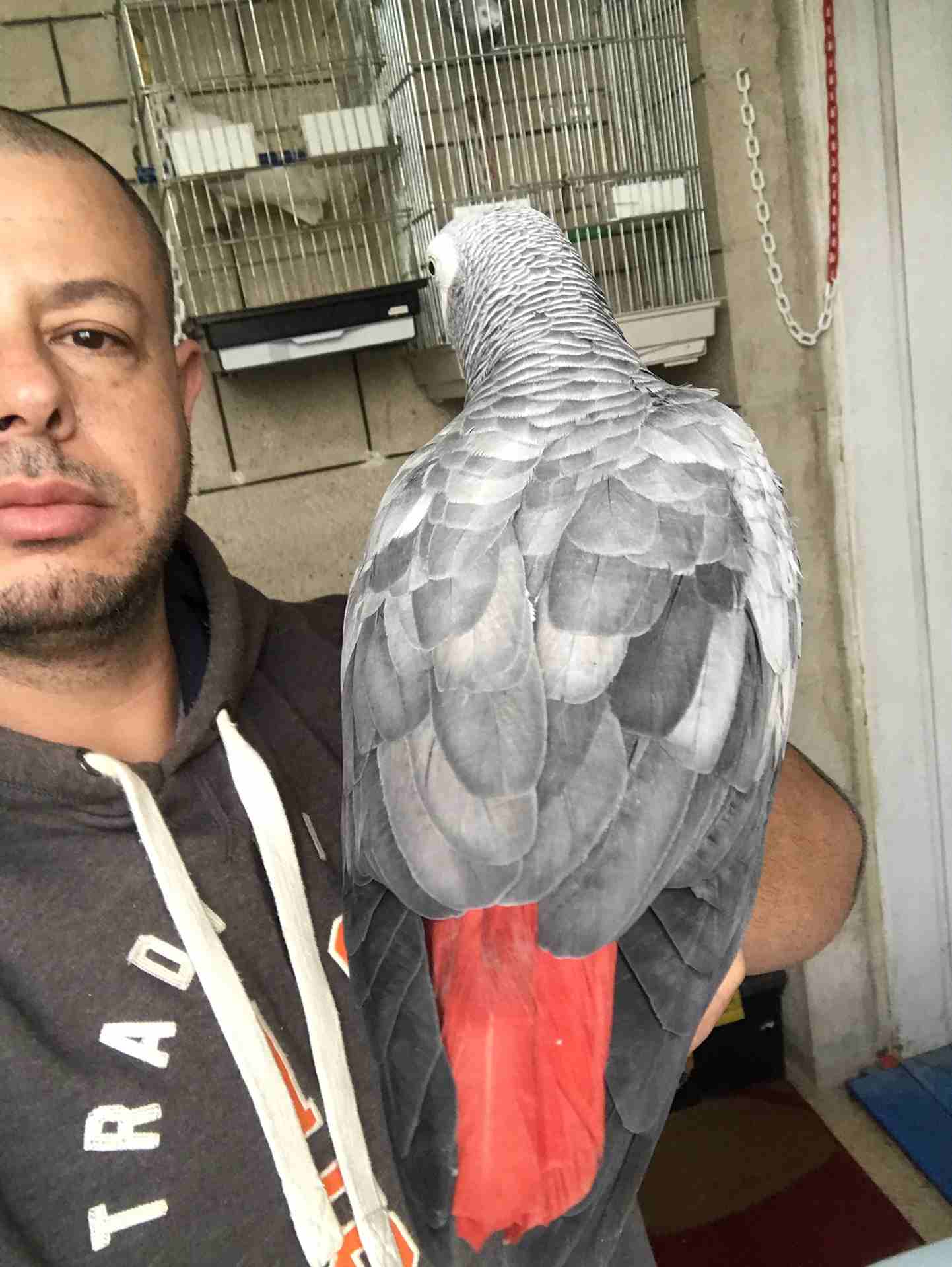 كاسكو عدد 2 للبيع
لا تنسَ أنك شاهدت هذا الإعلان في عنكبوت
كاسكو لون ثلجي بحكي 30 كلمه 370 دينار
ك...