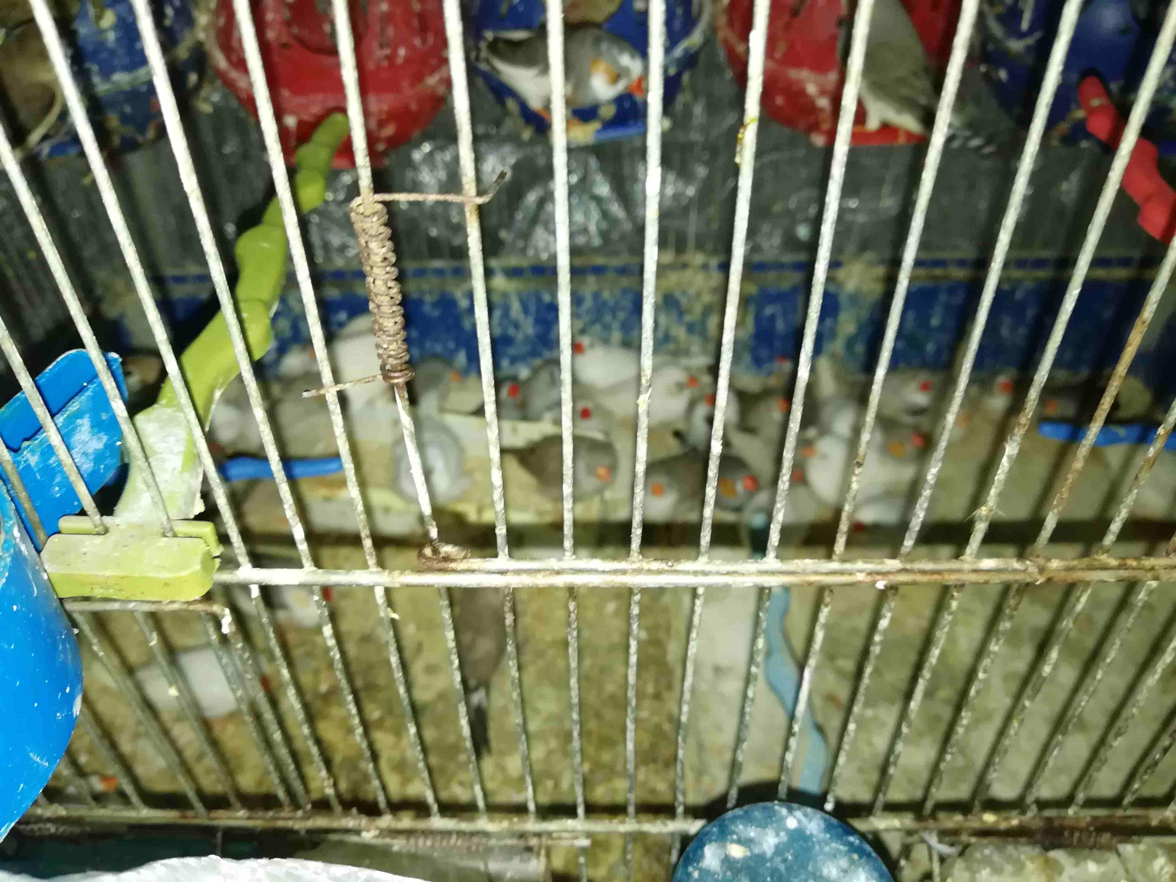 مطير فنجز  للبيع 22 جوز مع المطير  السعر قابل للتفاوض                                            


	 				لا تنسَ أنك شاهدت هذا الإعلان في عنكبوت            
	 				
                            مطي...