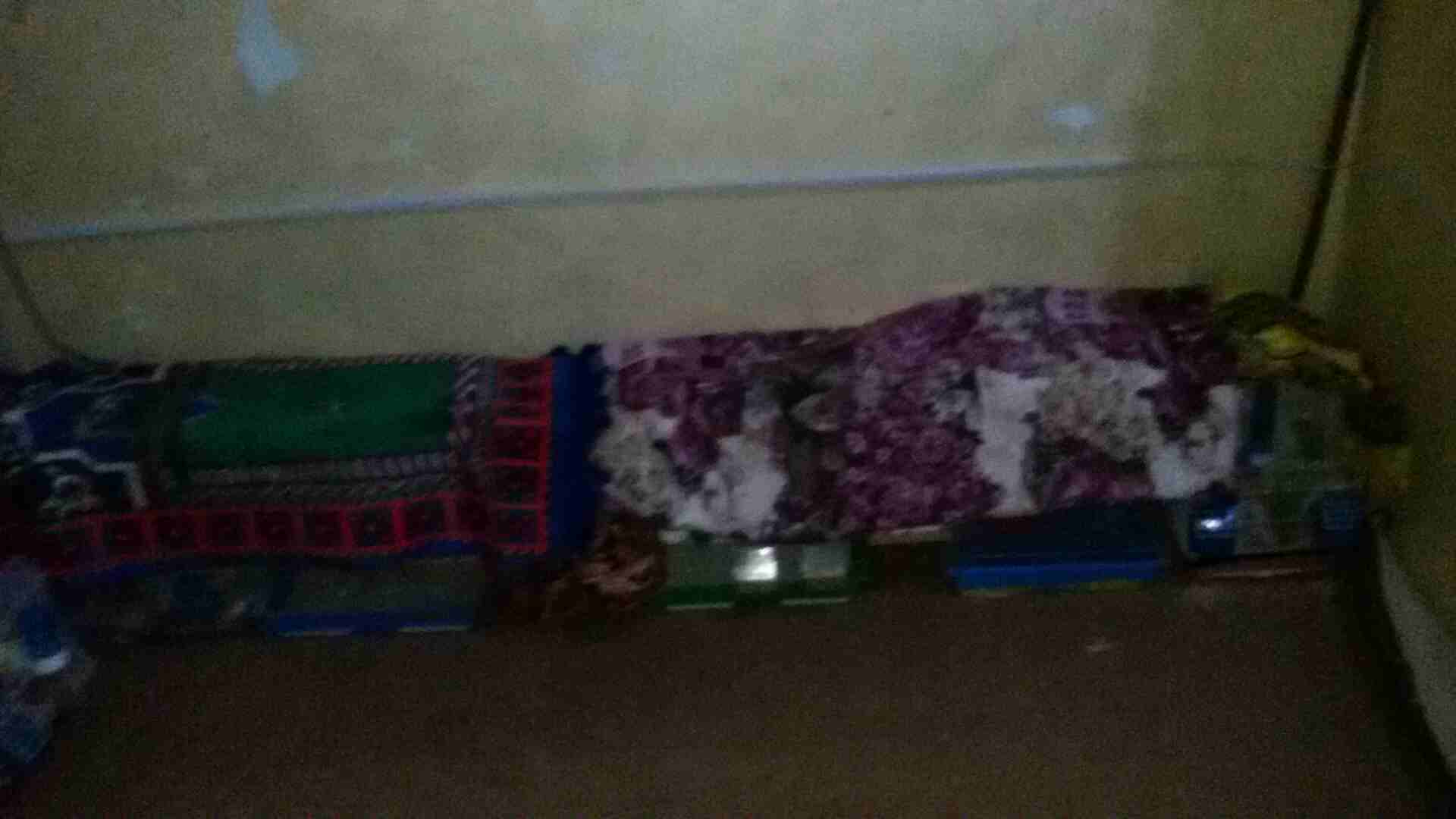 طيور حب
لا تنسَ أنك شاهدت هذا الإعلان في عنكبوت
عصافير حب 3 اجواز حب كل جوز تحته فراخ ويوجد 10 مخ...