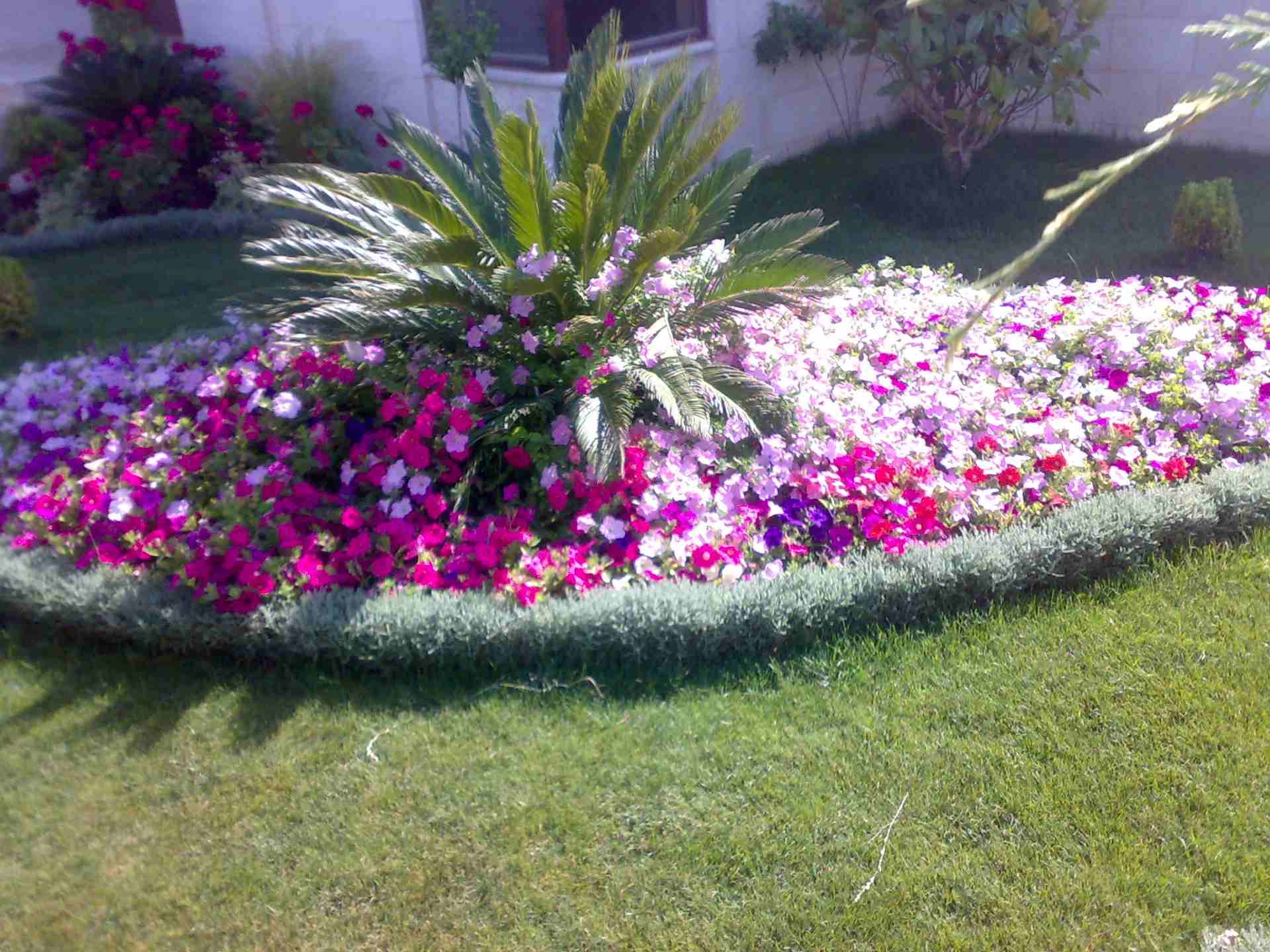 العلاونه لتنسيق الحدائق فلل وقصور 0796516675
لا تنسَ أنك شاهدت هذا الإعلان في عنكبوت
تنسيق حدائق...