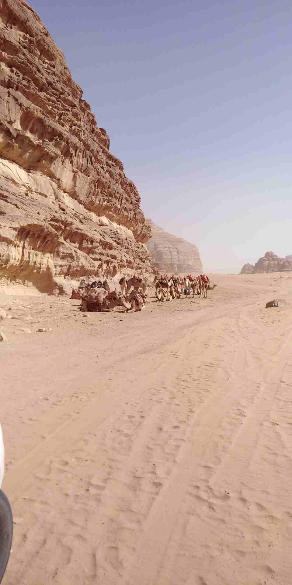 رحلات في الاردن احجز رحلات إلى البتراء وادي رم العقبة جرش عجلون
لا تنسَ أنك شاهدت هذا الإعلان في عنكبوت...