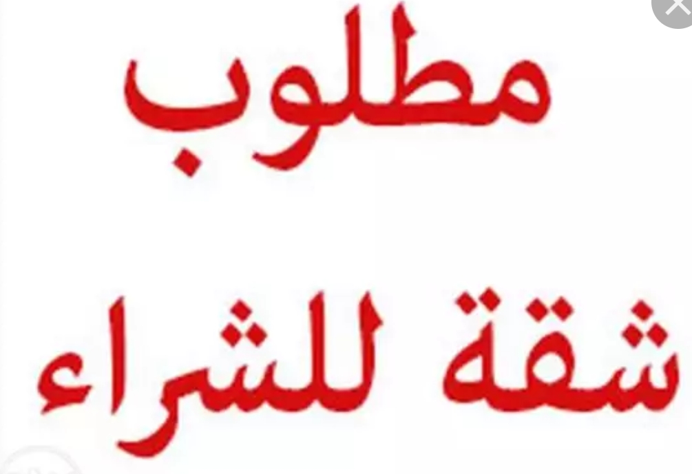 مطلوب شقق للبيع                                            


	 				لا تنسَ أنك شاهدت هذا الإعلان في عنكبوت            
	 				
                                الي عندو شقه للبيع وبدو يبيعها ب اسرع...