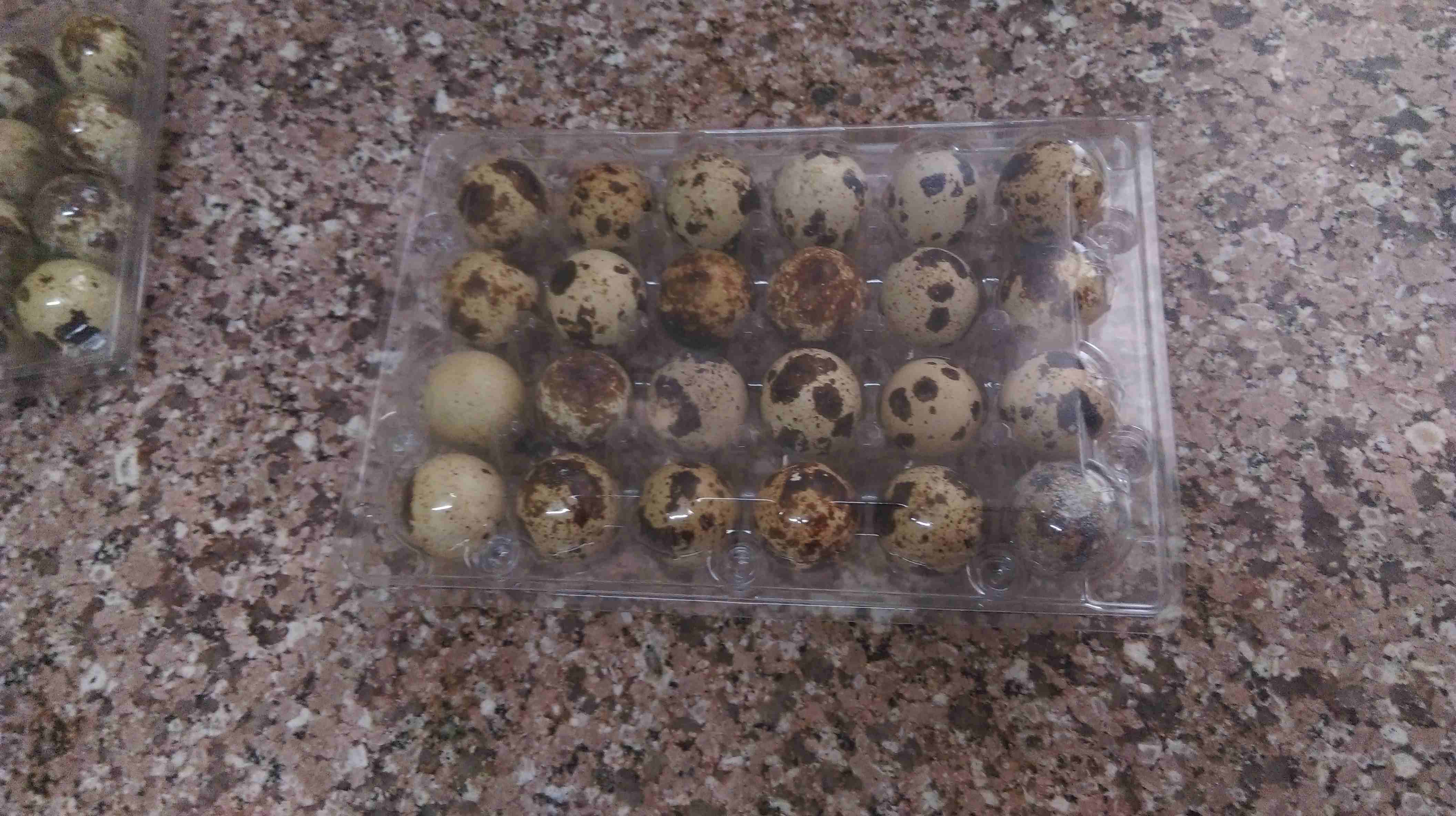 طبق بيض فري ب 75 قرش يا بلاش
لا تنسَ أنك شاهدت هذا الإعلان في عنكبوت
بيض فري للاكل ويوجد مخصب لاص...