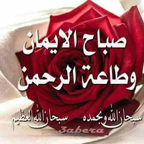 ابواب صيانه ودهان البواب الخشبي والمطابخ حيدر العراقي
لا تنسَ أنك شاهدت هذا الإعلان في عنكبوت
صيا...