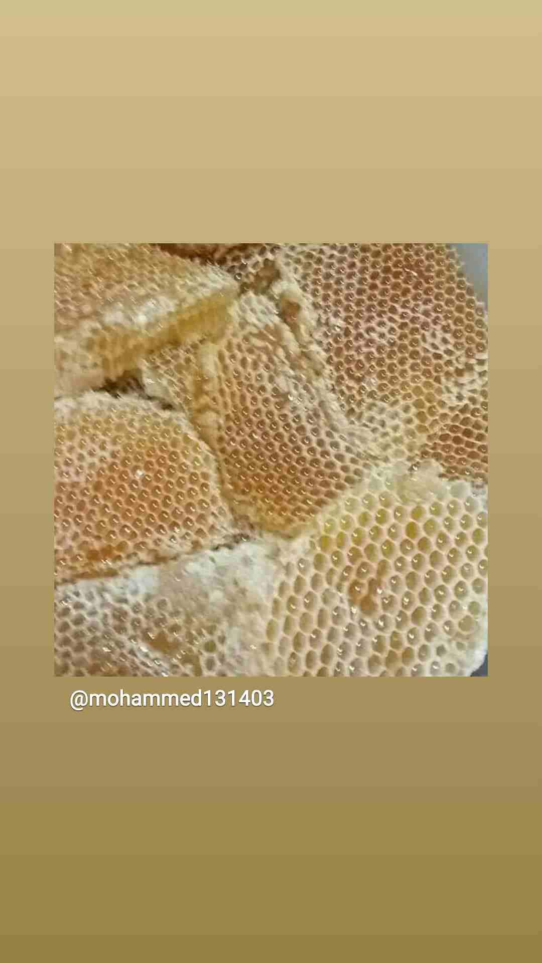 الجبلي للعسل الطبيعي 100 %
لا تنسَ أنك شاهدت هذا الإعلان في عنكبوت
السلام عليكم ورحمة الله وبركات...