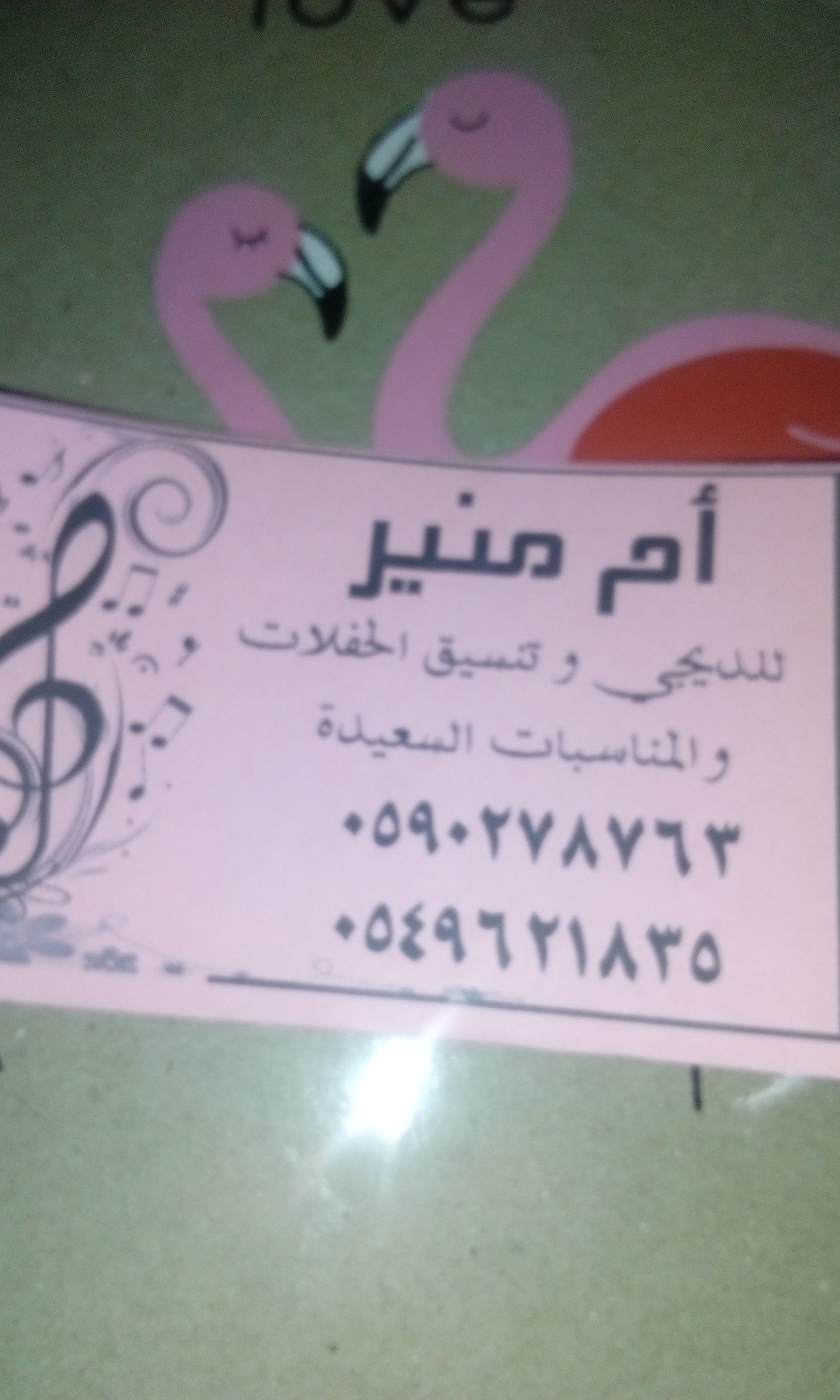 للديجي                                            


	 				لا تنسَ أنك شاهدت هذا الإعلان في عنكبوت            
	 				
                                أم منير يوجد لدين للديجي وتنسيق الحفلات والمنا...