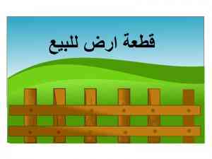 قطعة ارض للبيع في شفا بدران حوض المكيمين اسكان المحاميين                                            


	 				لا تنسَ أنك شاهدت هذا الإعلان في عنكبوت...
