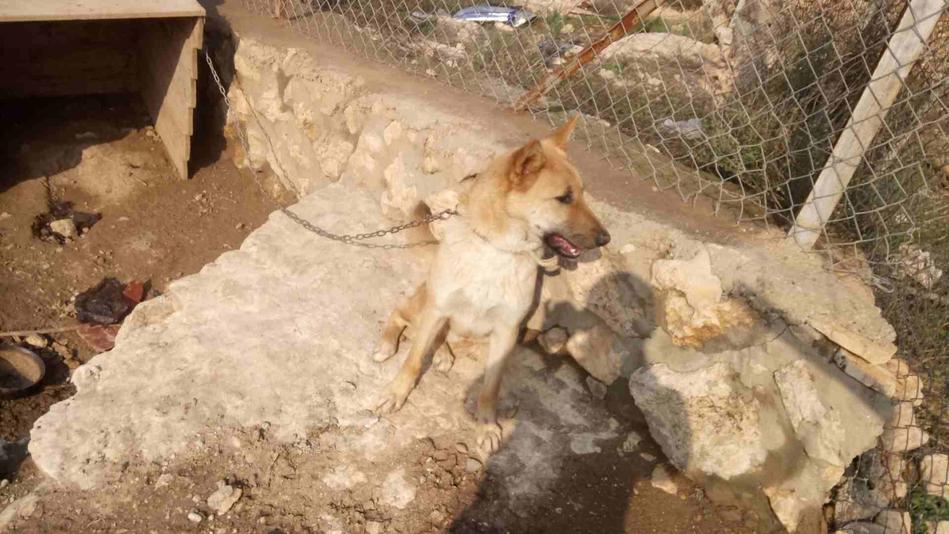 العلوك                                            


	 				لا تنسَ أنك شاهدت هذا الإعلان في عنكبوت            
	 				
                            الزرقاء                        

	 				رقم المعل...