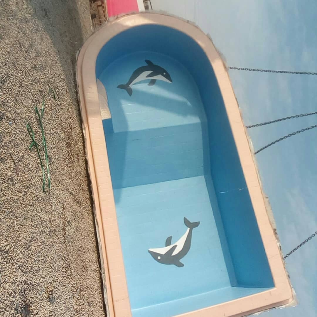يوجدلدينامسابح فيبرجلاس للبيع
لا تنسَ أنك شاهدت هذا الإعلان في عنكبوت
يوجدلدينامسابح فيبرجلاس...