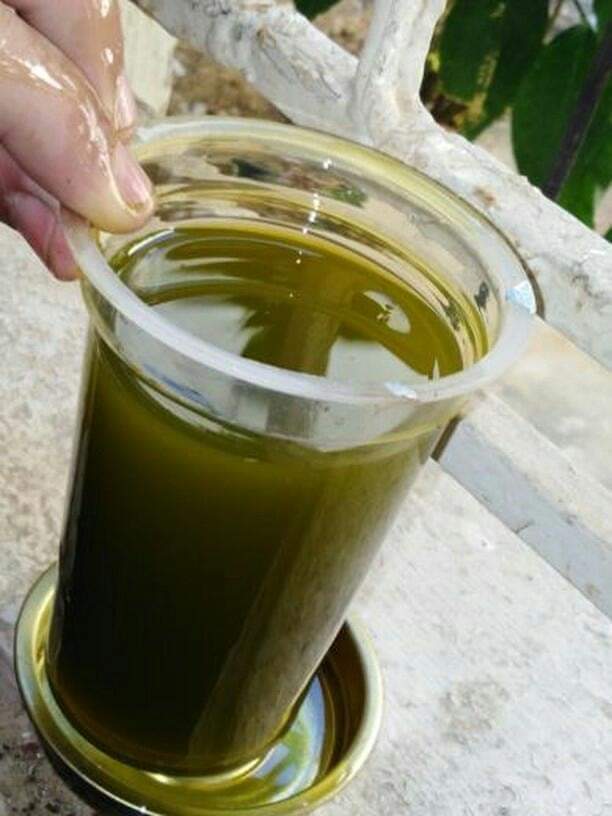 زيت زيتون بلدي بعل                                            


	 				لا تنسَ أنك شاهدت هذا الإعلان في عنكبوت            
	 				
                                زيت زيتون بلدي بعل زيت السنه فحص ح...