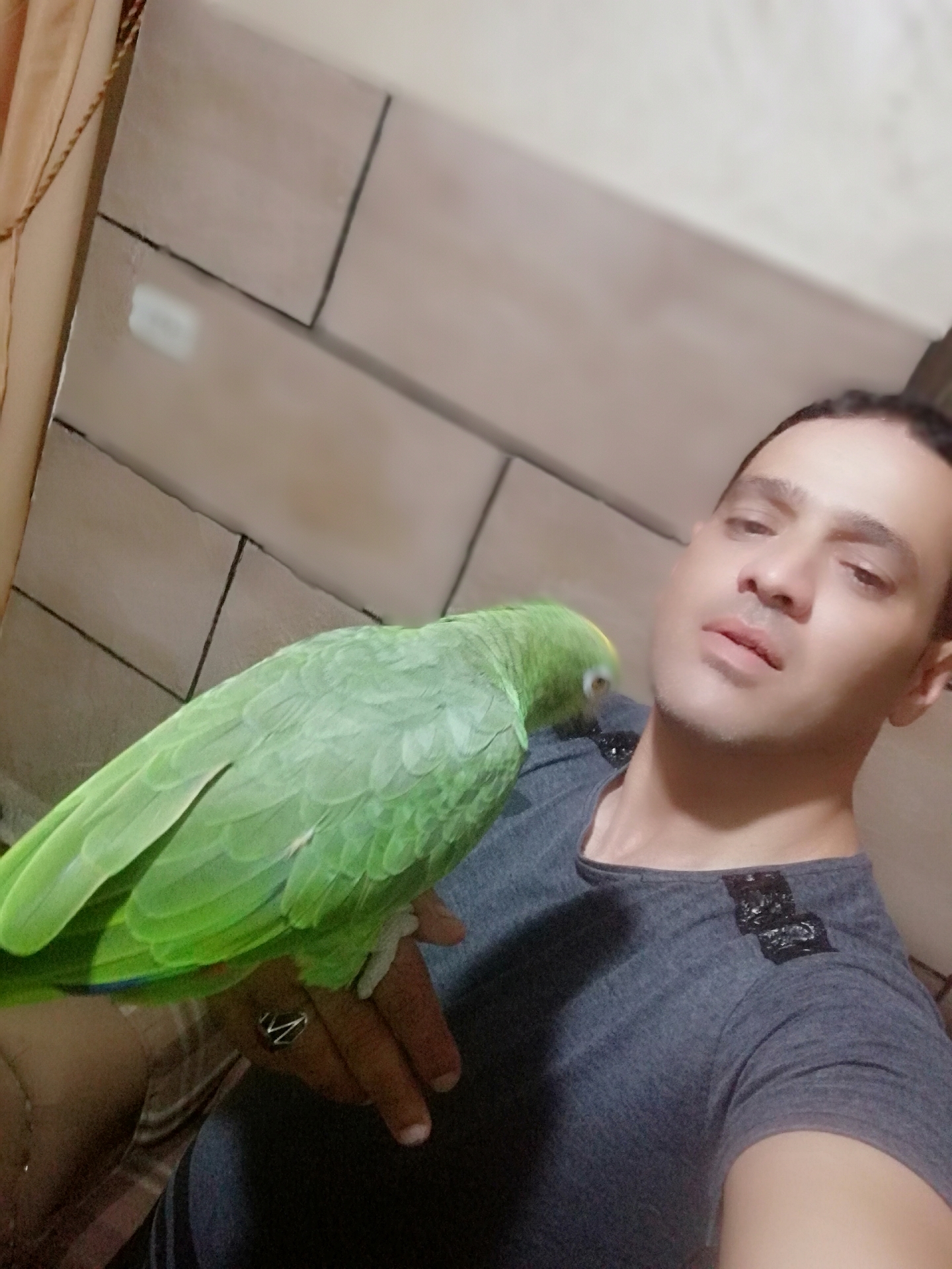 فرخ ببغاء أمازوني يلو كراون مزرعه حجل فضي متكلم مواجهة بطلاقه
لا تنسَ أنك شاهدت هذا الإعلان في عنكبوت...